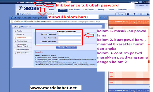 Ganti Password Baru